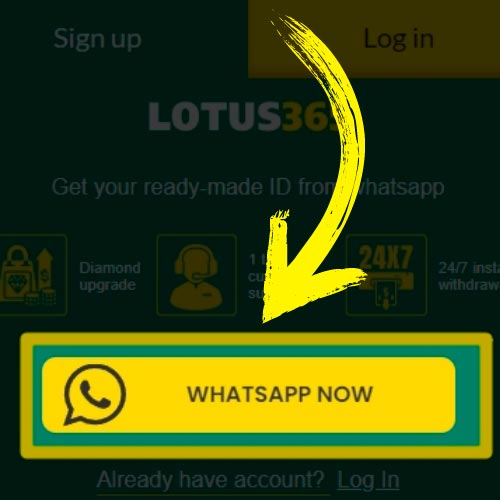 tap the WhatsApp Now button