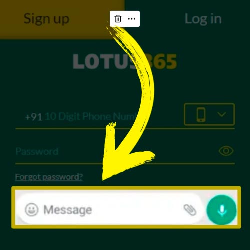 Write a message to the Lotus365 manager